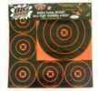 Birchwood Casey Big Burst 3-8" & 15 4" Targets